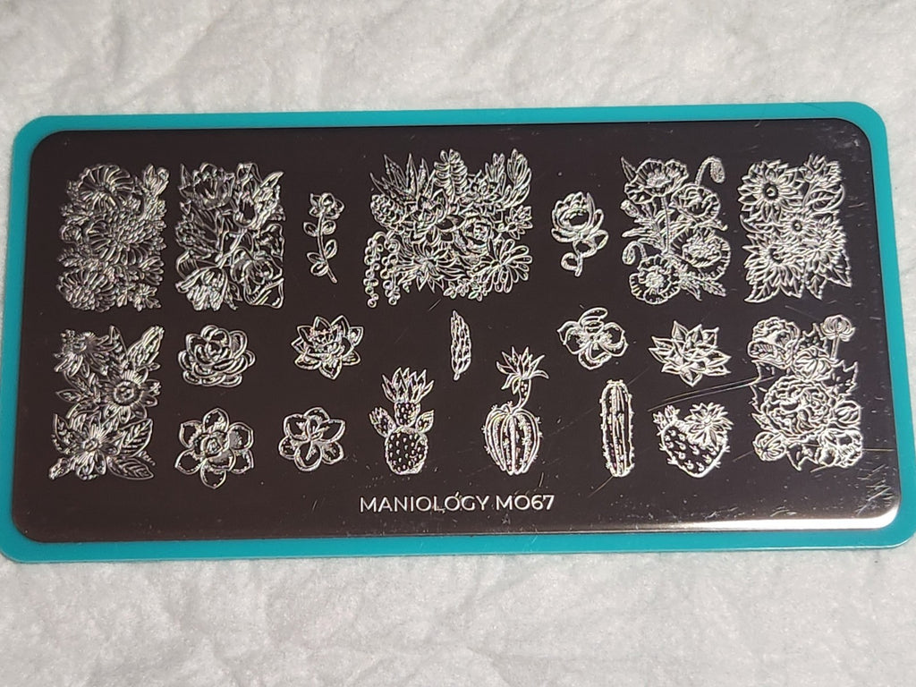 Maniology Nail Stamping Plate M067 Cactus for Nail Art