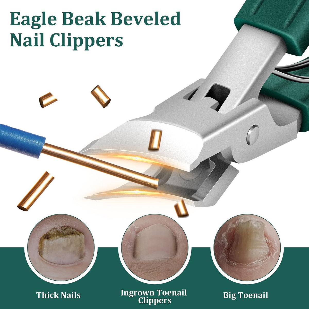 Eagle Beak Beveled Nail Clippers for Thick & Ingrown Nails - Sharp Stainless Steel