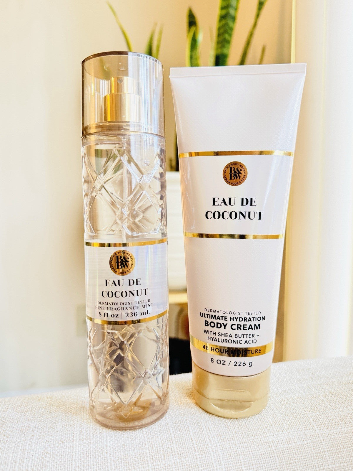 Coconut Scent Body Mist & Body Cream Set - Bath & Body Collection