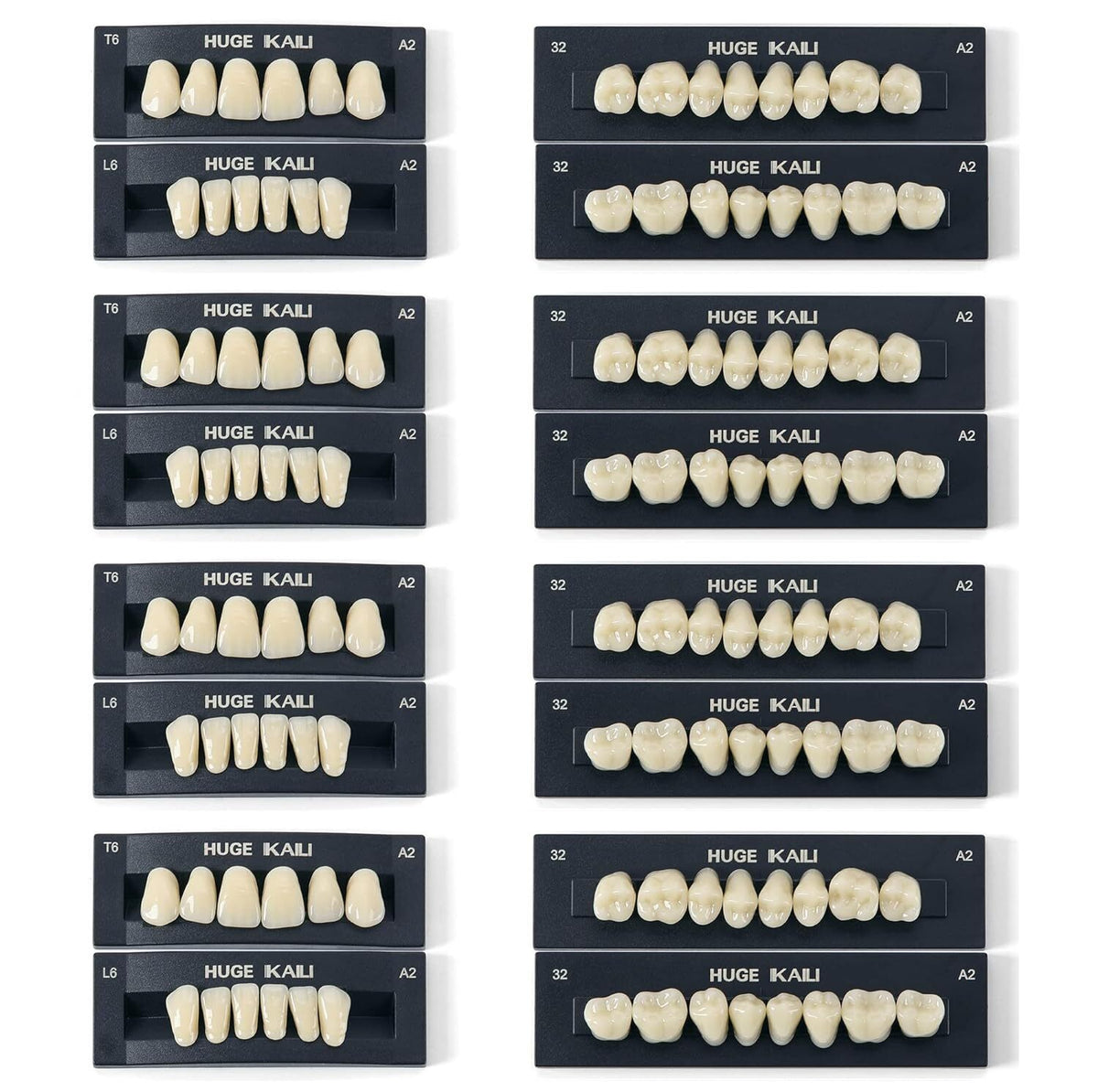 Dental Acrylic Resin False Teeth Set for Dentures - 28Pcs, Multiple Models & Quantities