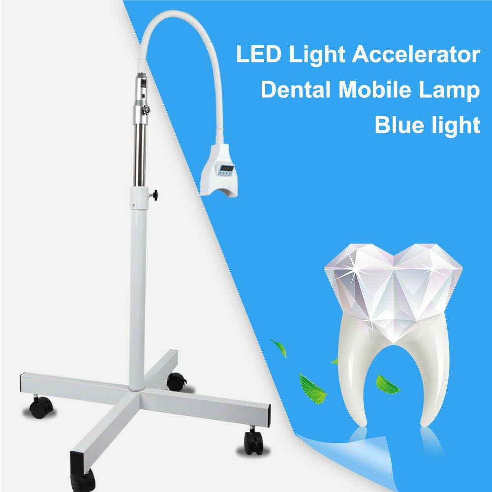 Mobile LED Light System with Accelerator Lamp