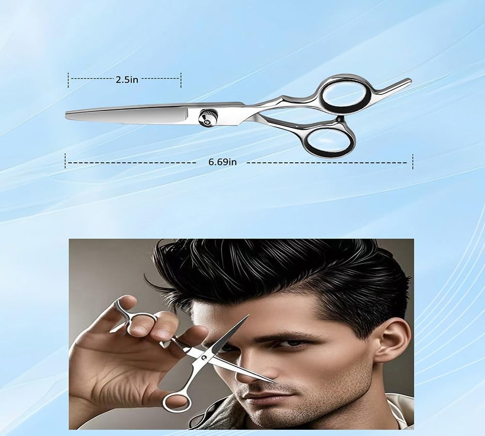 Professional Hair Cutting Shears - Salon & Home Use, 6.5 Inch Stainless Steel Scissors