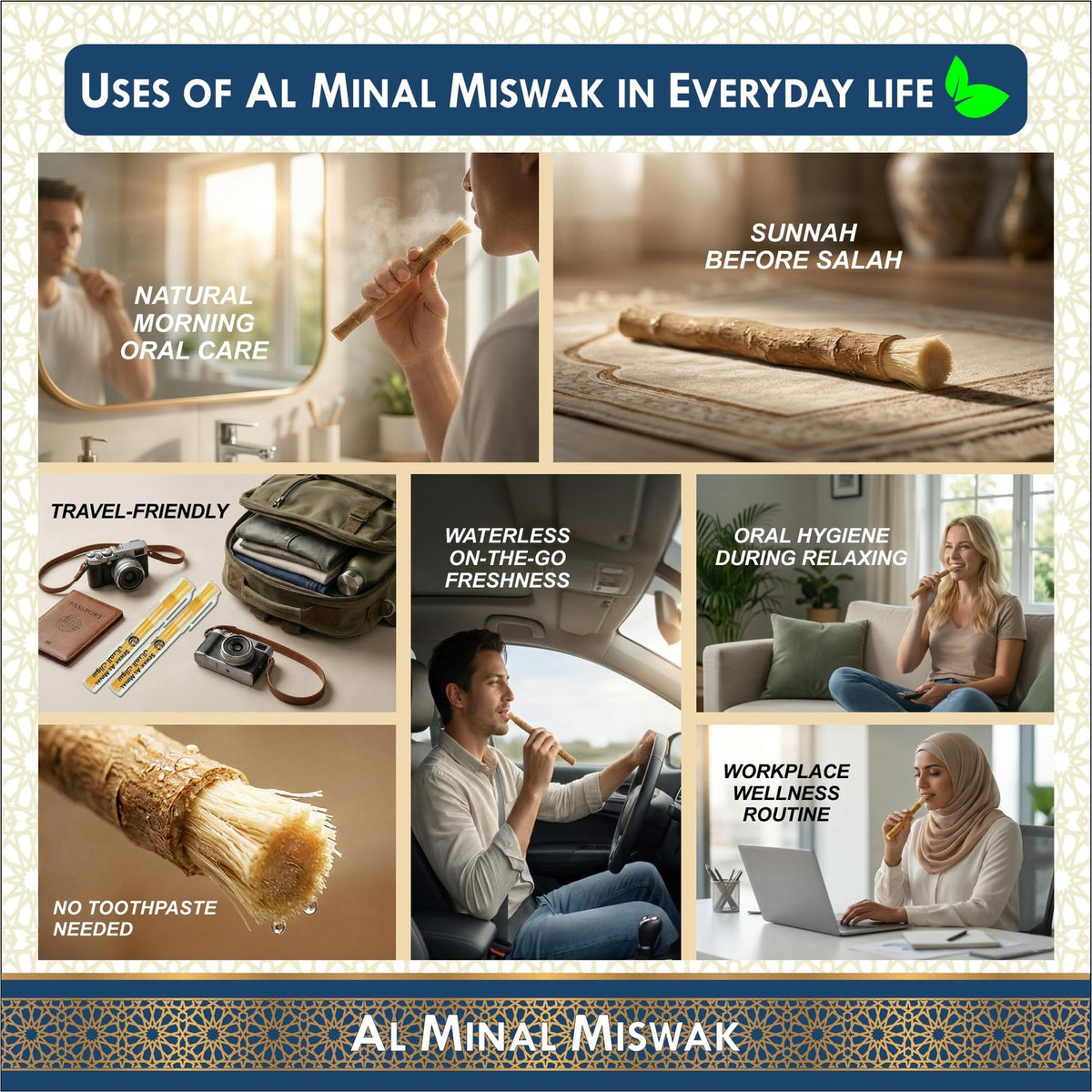 Natural Miswak Teeth Cleaning Sticks with Holders - Pack of 6