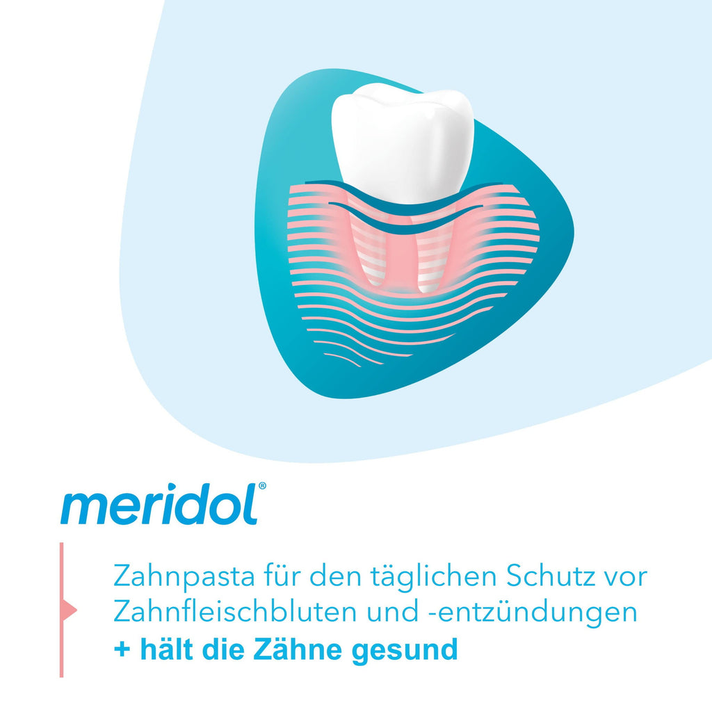 Meridol Toothpaste 2 Pack - Gum & Tooth Decay Protection, 253 Fl Oz