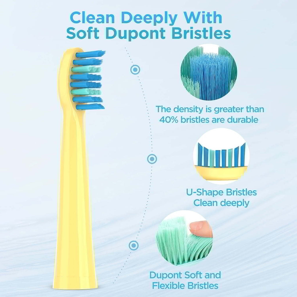 Rechargeable Electric Toothbrush for Adults with 8 Brush Heads and 5 Modes