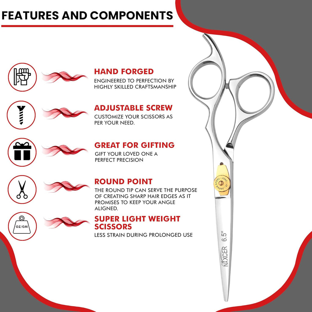 Professional Hair Cutting Scissors - 6.5 Inch Hairdressing Shears, Silver