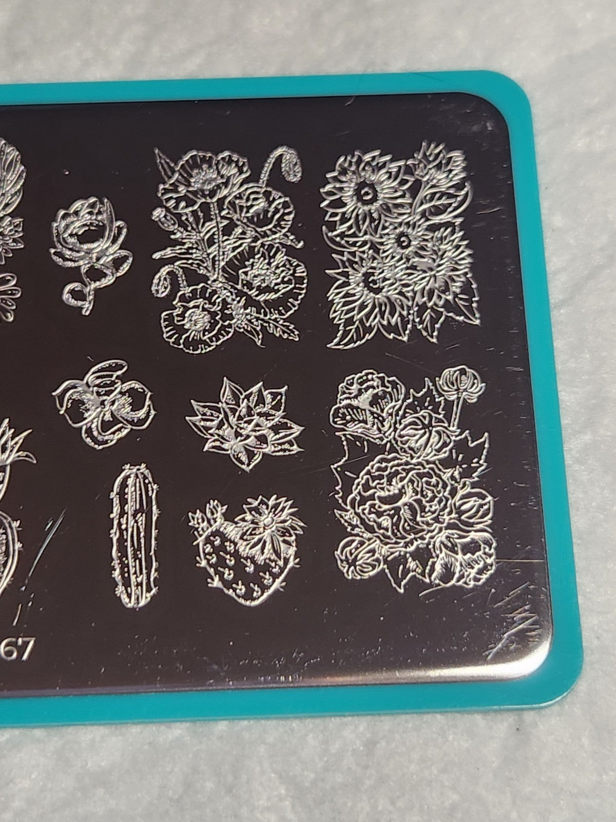 Maniology Nail Stamping Plate M067 Cactus for Nail Art