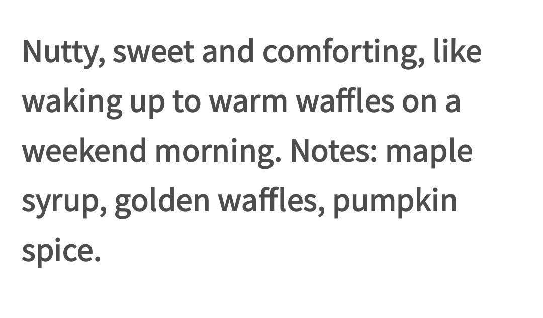 Pumpkin Pecan Waffles Foaming Hand Soap Set - Fall Scent, 2-Pack