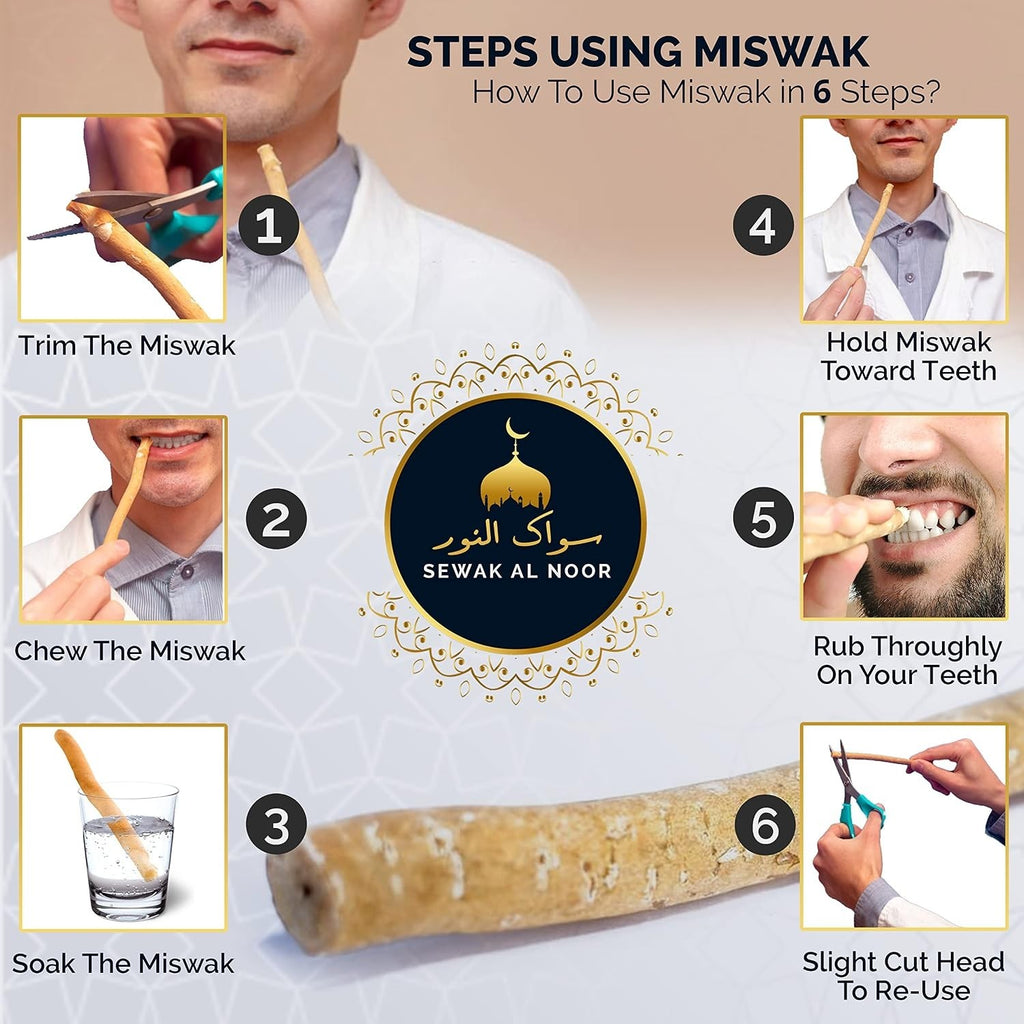 Natural Miswak Teeth Cleaning Sticks Pack with Holder - Vacuum Sealed Oral Care