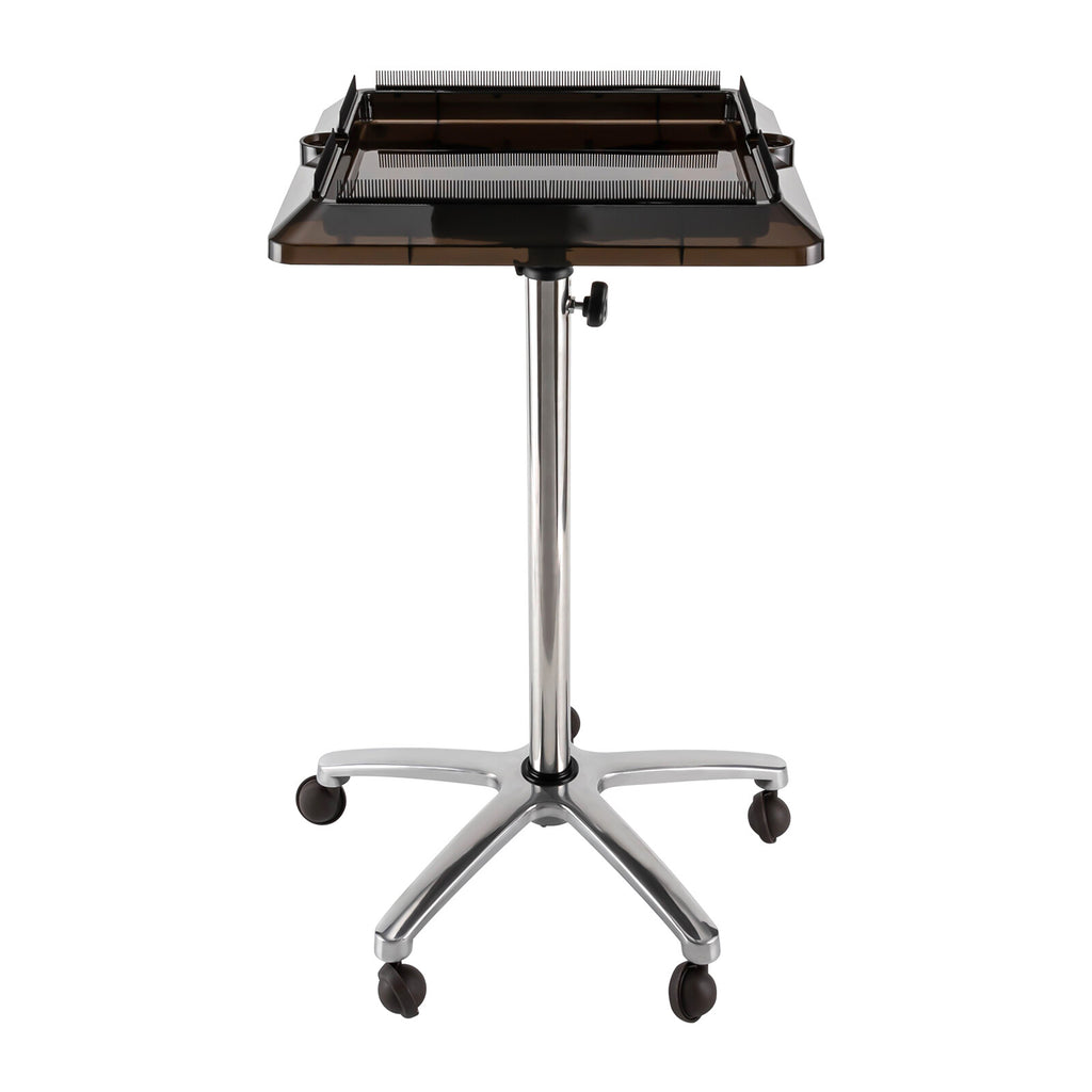 Mobile Salon Tool Cart with Removable Hair Extension Tray & Adjustable Height