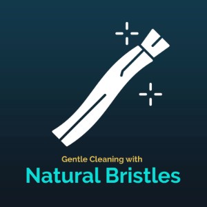 Natural Chewing Miswak Sticks with Holder - Oral Hygiene, Fresh Breath, Tartar Prevention