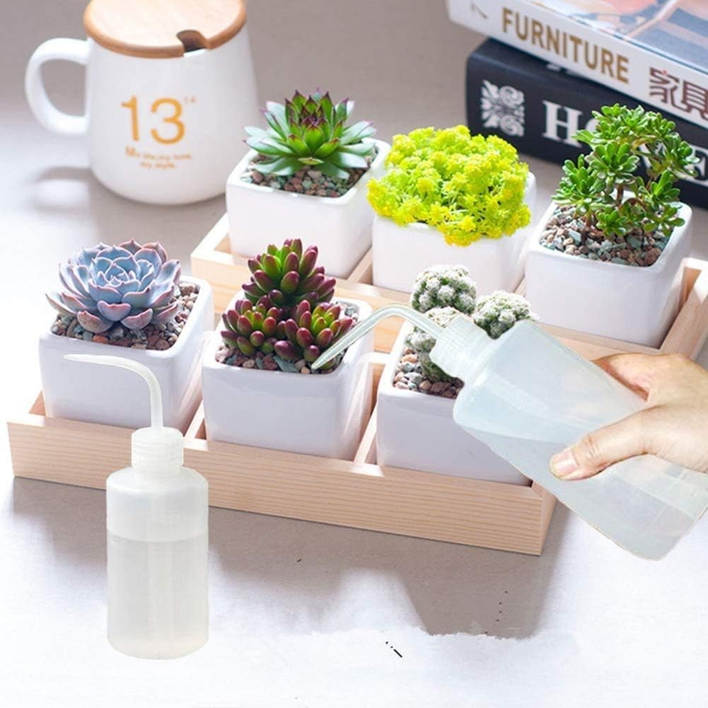 Clear 2x250ml Liquid Squeeze Bottles with Scale for Plants & Lab Use