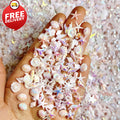 Mermaid Nail Art Charms Set - 30pcs Ocean Sea Shell Starfish Dolphin Decor