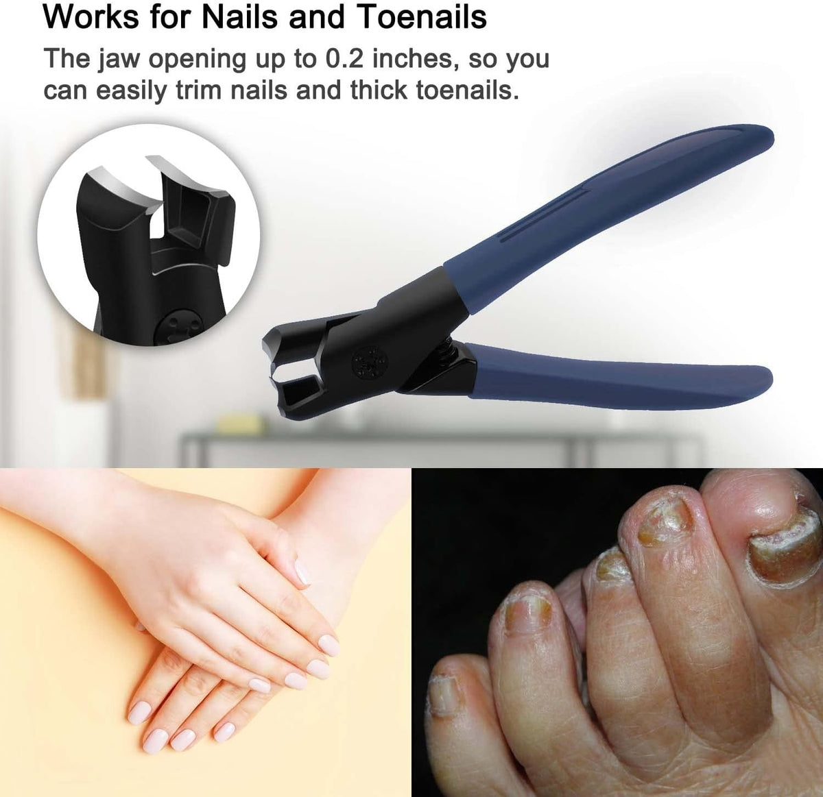 Extra Large Heavy Duty Stainless Toe Nail Clippers for Thick Nails