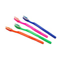 Disposable Toothbrushes Mintburst Pack - 144 Assorted Individually Packed