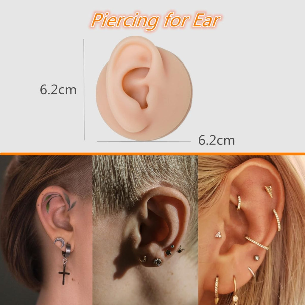7-Piece Silicone Piercing Practice Kit - Realistic Training Models with Display Holder