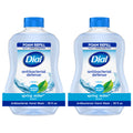 Antibacterial Foaming Hand Soap Refill - Spring Water, 2 x 30 fl oz