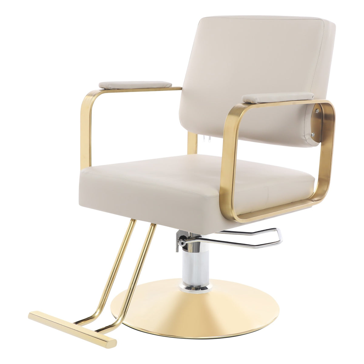 Professional Salon Barber Chair 360° Swivel Height Adjustable for Beauty Spa