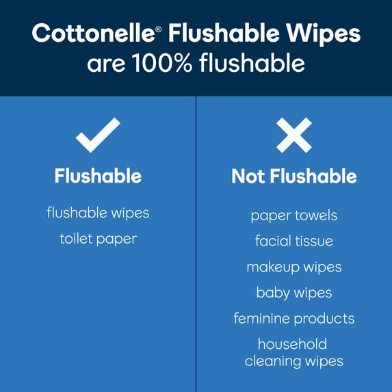 Flushable Personal Wipes 4 Pack for Bathroom & Hygiene
