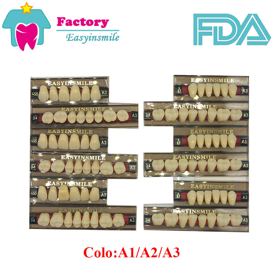 Complete Acrylic Resin Denture Set for Upper and Lower Teeth - Shade A1/A2/A3