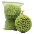 Deep Cleansing Body Loofah Sponge Set – Natural Colors, Dual Textures for Gentle & Deep Exfoliation (Pack of 3)