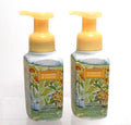 Foaming Hand Soap Set - Gentle Citrus Fragrance, 8.75 fl oz Each