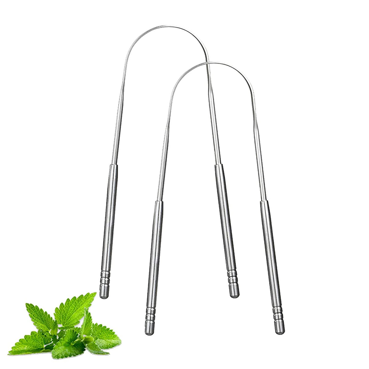 Stainless Steel Tongue Scraper 2-Pack for Adults - Fresh Breath & Oral Hygiene