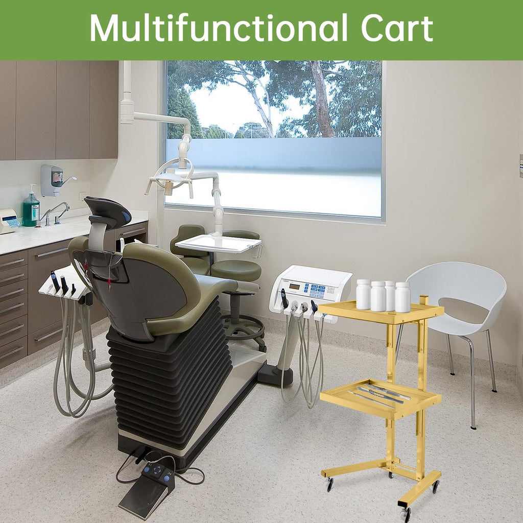 Salon Rolling Trolley Cart with Stainless Steel Frame and Lockable Wheels
