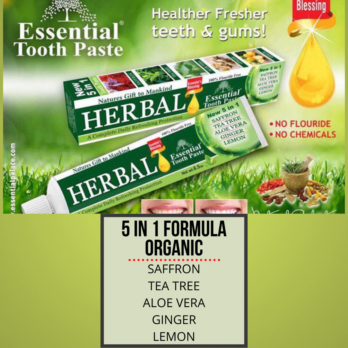 Herbal Toothpaste 5 in 1 Fluoride-Free Natural Oral Care 6.5 oz