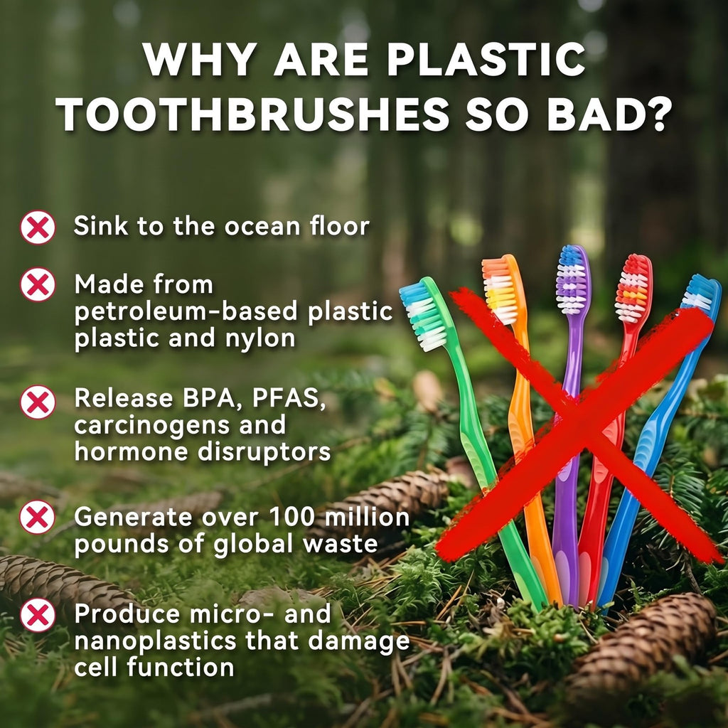 Natural Boar Bristle Bamboo Toothbrush 10 Pack - Eco-Friendly & Self-Standing