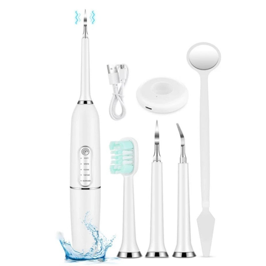 Electric Dental Tartar Plaque Remover Kit with Multiple Heads & LED Light