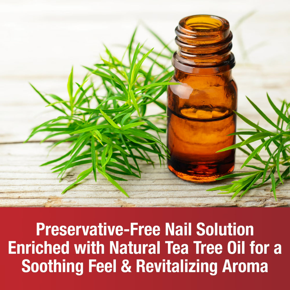 Fungal Nail Renewal Solution with Tea Tree Oil - 0.33 fl oz, Deep Penetrating Nail Care