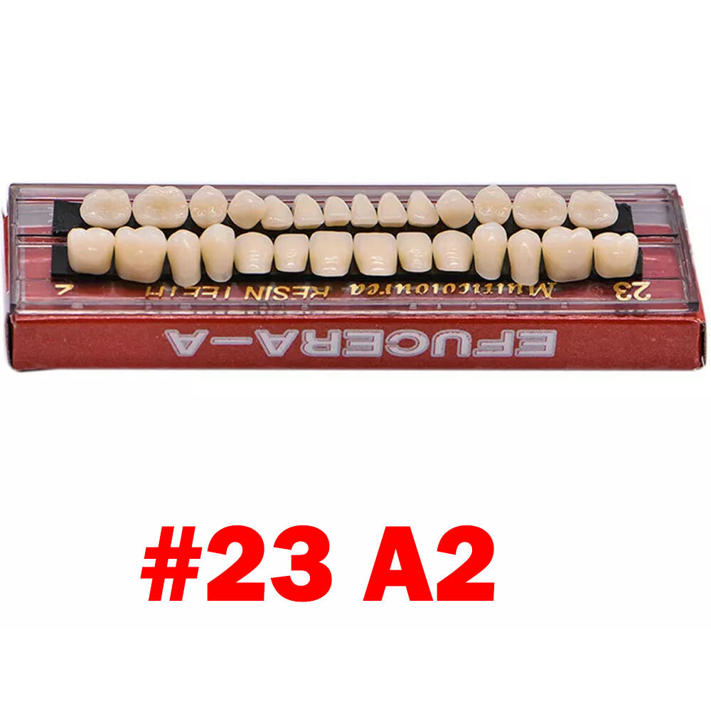 Denture Set 5 Pieces Acrylic Resin Full Upper & Lower Dentures - A2 A3 Shades
