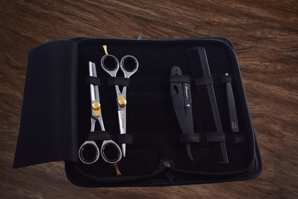 6-Inch Professional Hair Cutting Thinning Scissors Set with Razor & Pouch