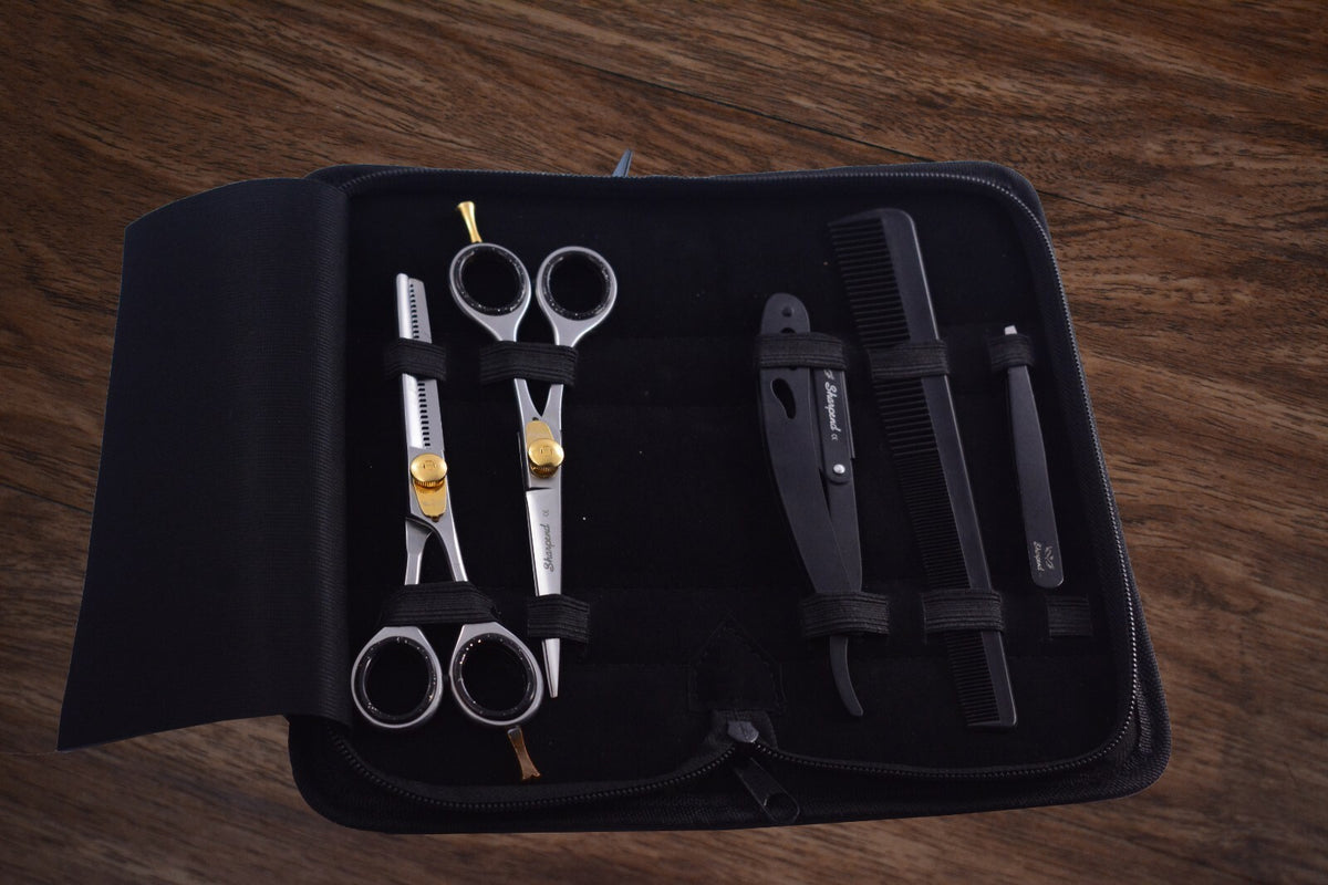 6-Inch Professional Hair Cutting Thinning Scissors Set with Razor & Pouch