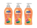 Liquid Hand Soap with Antibacterial Protection - Crisp Clean Scent 11.25oz 3-Pack