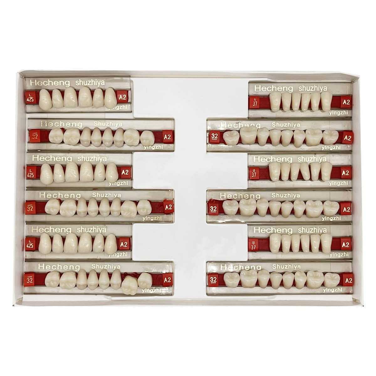 84 Pcs Acrylic Dental Fake Teeth Sets - Upper & Lower A2 Color