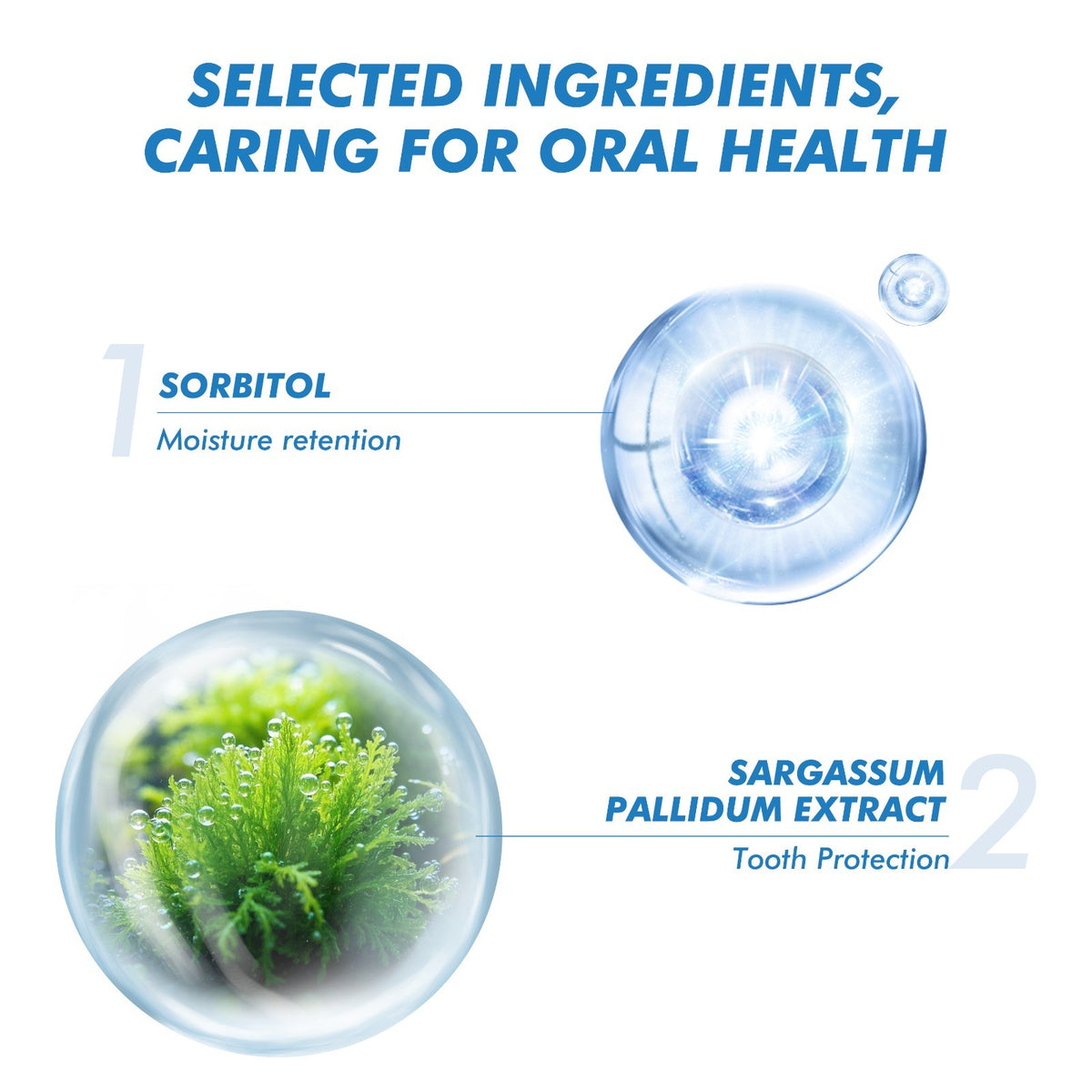 Fresh Breath Toothpaste with Ocean Mint Flavor - 130g Natural Oral Care