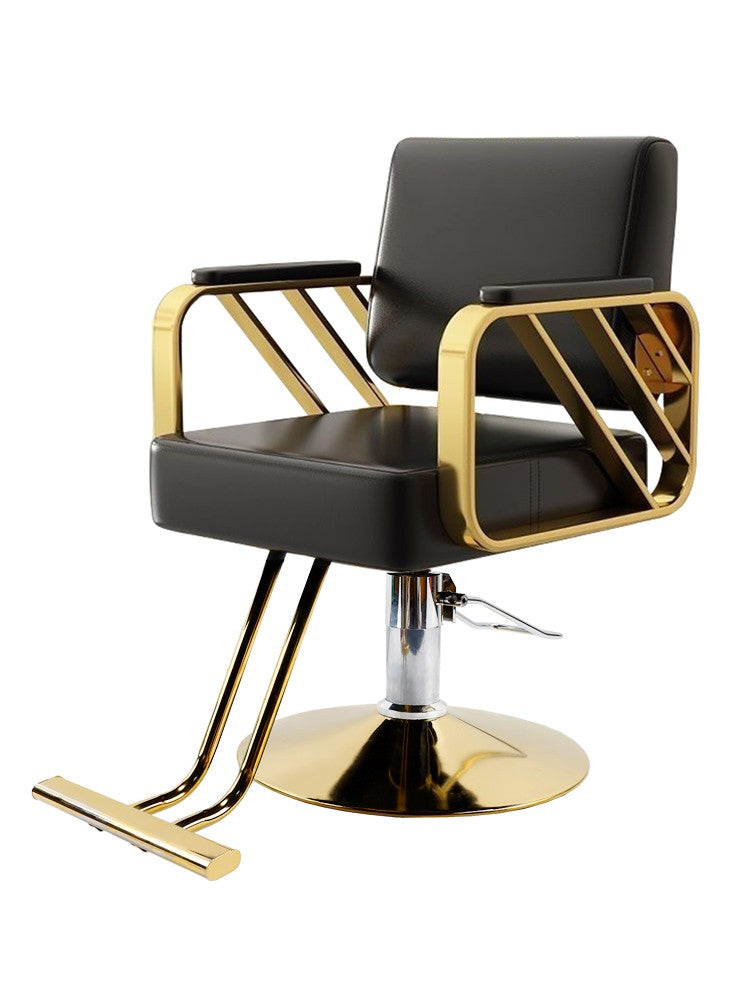 Salon & Barber Chair for Hair Styling and Hairdressing