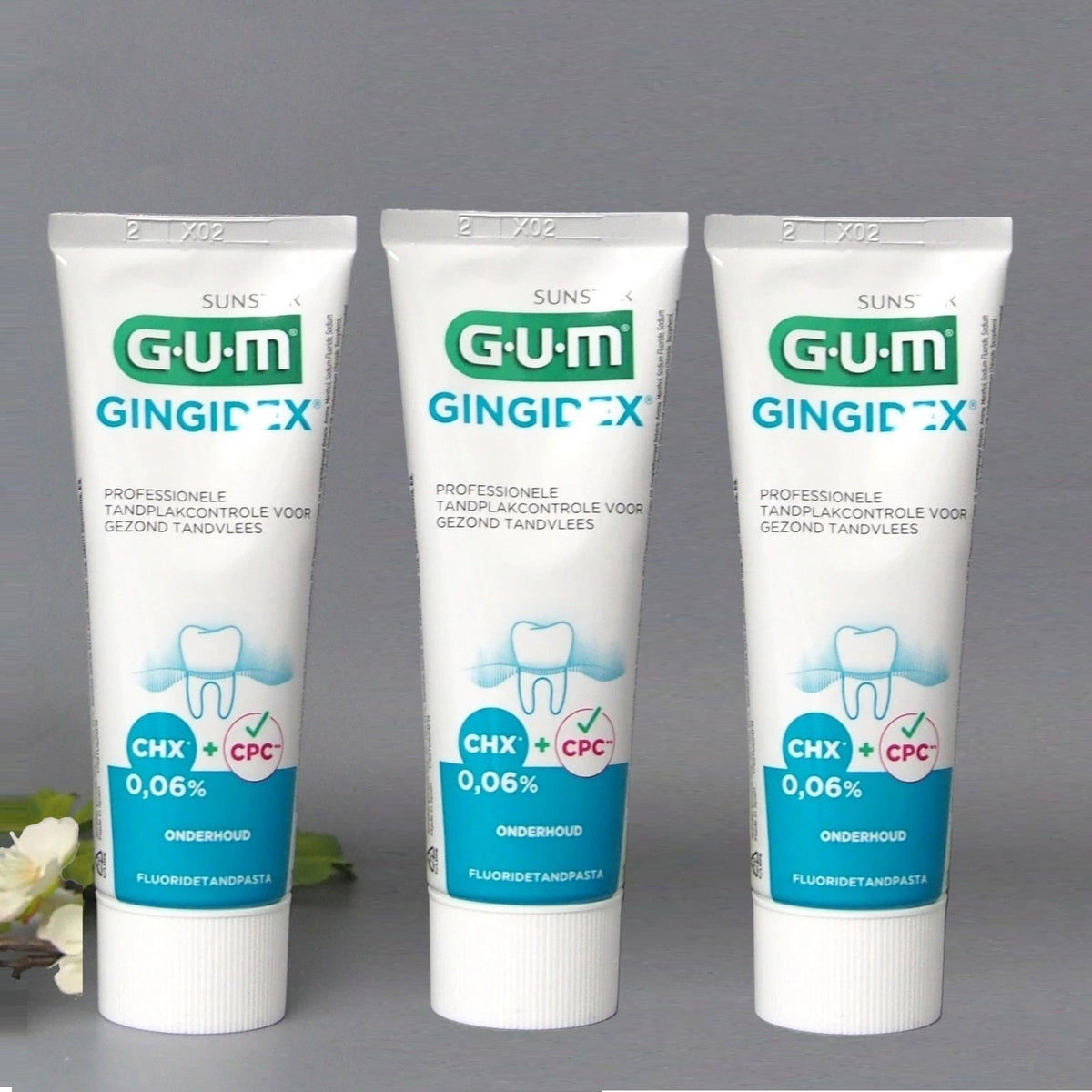 Gum Toothpaste for Sensitive Gums - 3 Pack 75ml with Anti-Plaque Formula