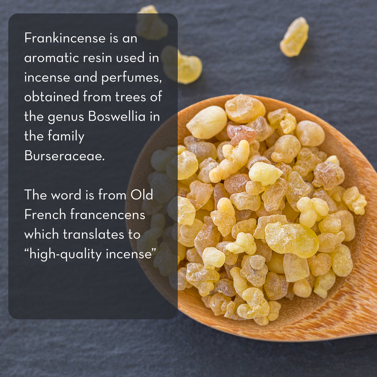 Frankincense Essential Oil - 4 fl oz Pure Body Naturals Aromatherapy & Skin Care