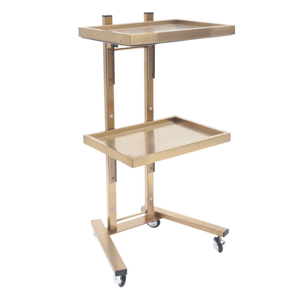 Foldable Salon Trolley Cart with Gold Finish for Studios & Tattoo Shops