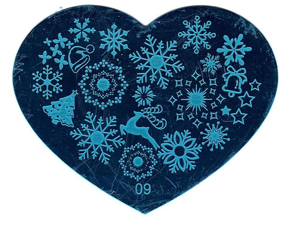 5 Pack Nail Art Stamping Plates Set Heart Design Manicure Tools