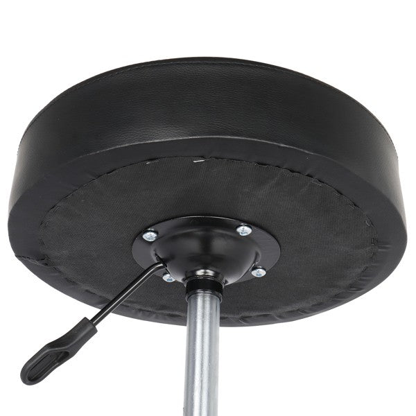 Adjustable Salon Stool with Wheels 360° Swivel Spa Chair Black