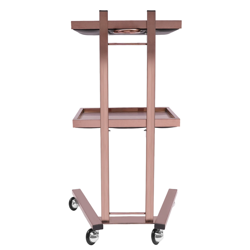2-Tier Hairdressing Salon Trolley Cart with Trays & Wheels