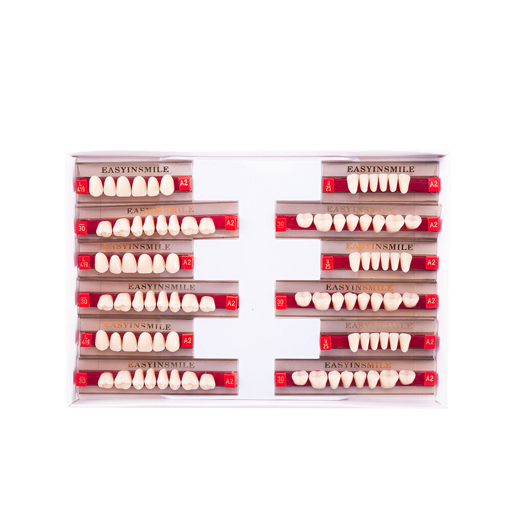 Denture Acrylic Resin Full Set for Upper and Lower Teeth - Shade A1/A2/A3