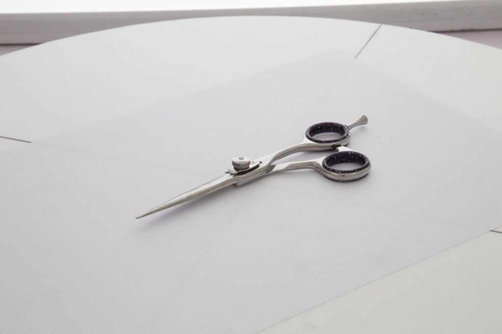 Professional 5.5 Inch Japanese Stainless Steel Hair Cutting Scissors with Convex Edge
