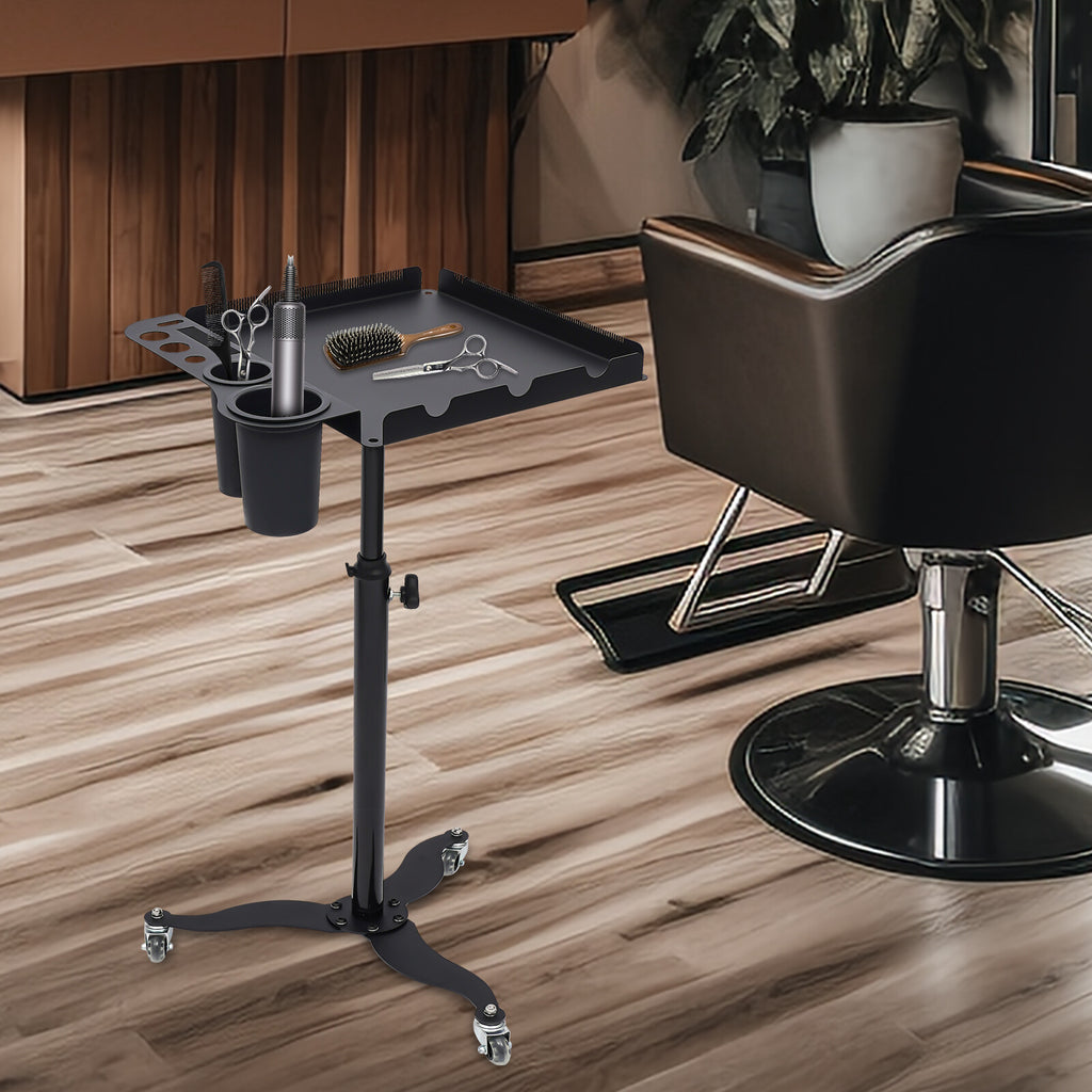 Mobile Salon Hairdressing Cart with 2 Bowls & Rolling Service Tray, Stainless Steel