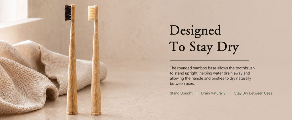 Natural Bamboo Toothbrush Set with Boar and Horsehair Bristles Eco-Friendly
