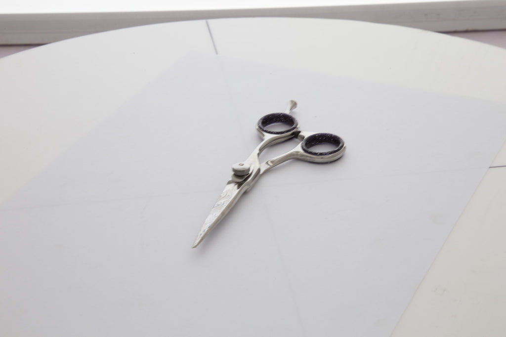Professional 5.5 Inch Japanese Stainless Steel Hair Cutting Scissors with Convex Edge